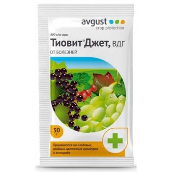 ТИОВИТ ДЖЕТ 30гр. (против мучнист.росы на фруктах, ягодах и овощах) Август ТИОВИТ ДЖЕТ 30гр. (против мучнист.росы на фруктах, ягодах и овощах) Август