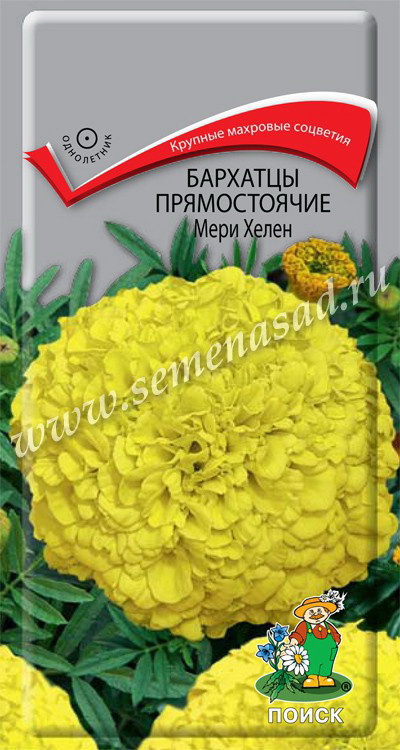 Бархатцы прямостоячие МЕРИ ХЕЛЕН 0,4гр. (Поиск)