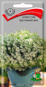 Алиссум ХРУСТАЛЬНЫЙ ЗВОН 20шт. (Поиск)