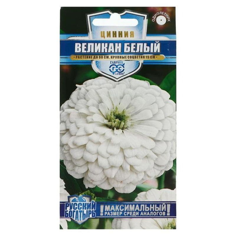 Цинния ВЕЛИКАН белый 0,3гр. (Гавриш)