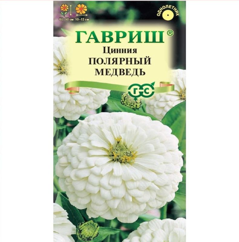 Цинния ПОЛЯРНЫЙ МЕДВЕДЬ 0,3гр. изящная (Гавриш)