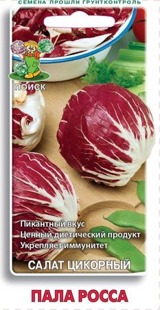 Салат цикорный ПАЛА РОССА 0,2гр. (Поиск)