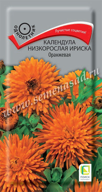 Календула низкорослая ИРИСКА оранжевая 10шт. (Поиск)