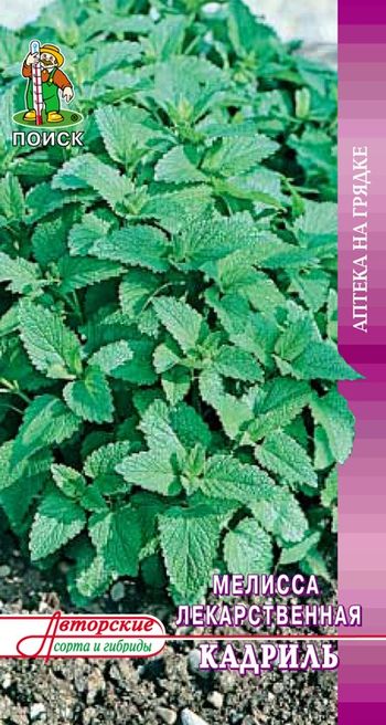 Мелисса КАДРИЛЬ (Лимонная мята) 0,5гр. (Поиск)