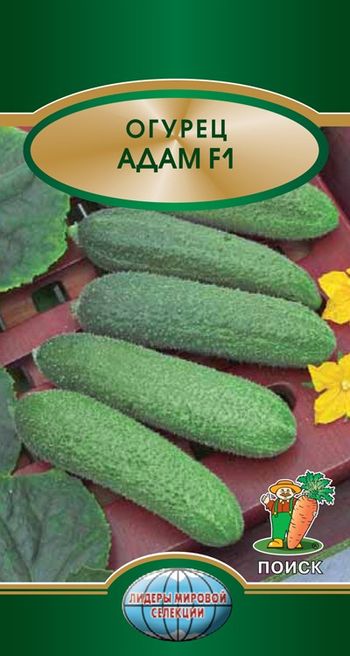 Огурец АДАМ F1 10шт. (Поиск)