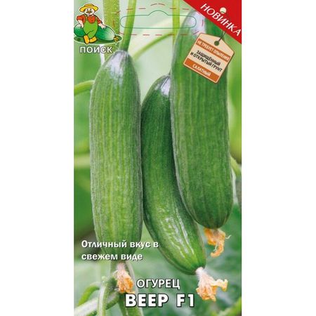 Огурец ВЕЕР F1 12шт. (Поиск)