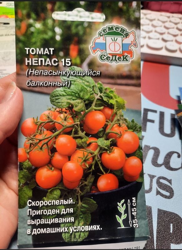 Томат НЕПАС 15 НЕПАСЫНКУЮЩИЙСЯ Балконный 0,1гр. (СеДек)