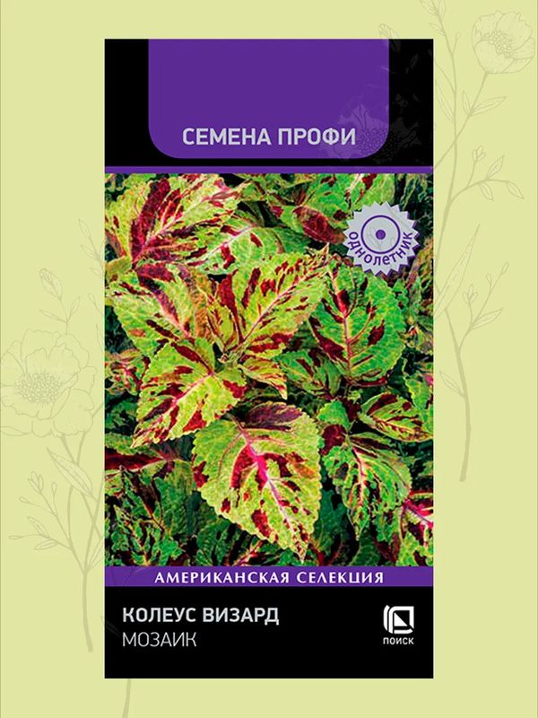 Колеус ВИЗАРД МОЗАИК 10шт. (Поиск)