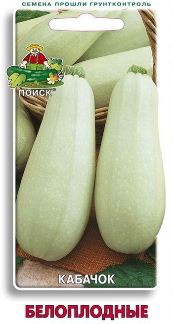 Кабачок БЕЛОПЛОДНЫЙ 12шт. (Поиск)