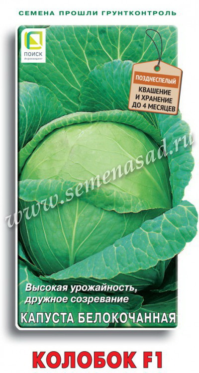 Капуста белокоч. КОЛОБОК F1 0,2гр. (Огородное изобилие) (Поиск)