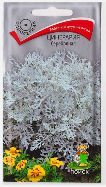 Цинерария СЕРЕБРЯНАЯ 0,2гр. (Поиск)