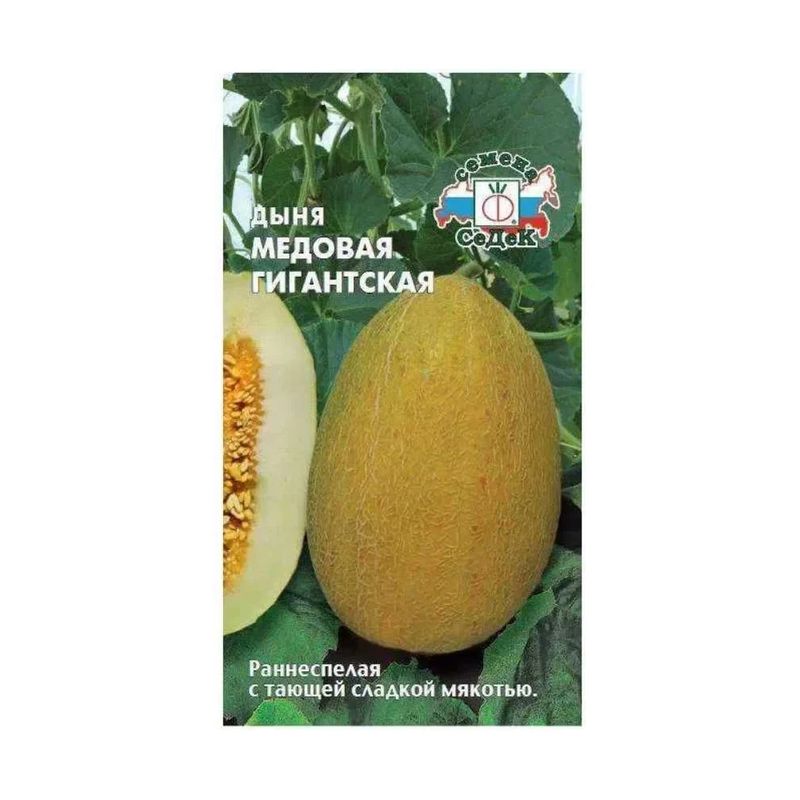 Дыня МЕДОВАЯ ГИГАНТСКАЯ F1 0,5г. (СеДек)
