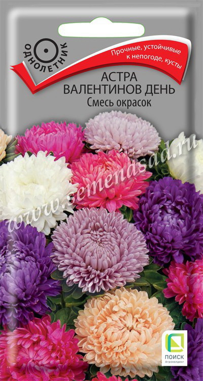 Астра ВАЛЕНТИНОВ ДЕНЬ Смесь окрасок 0,2гр. (Поиск)