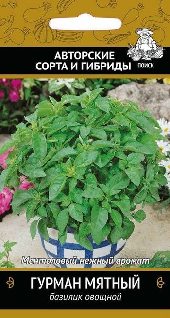 Базилик ГУРМАН мятный 0,1гр. (Поиск)