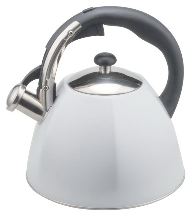 Чайник нерж. WR-5061 3,0л. со свист, цв.