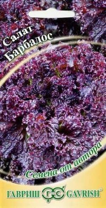 Салат БАРБАДОС 0.5г. красный (Гавриш)