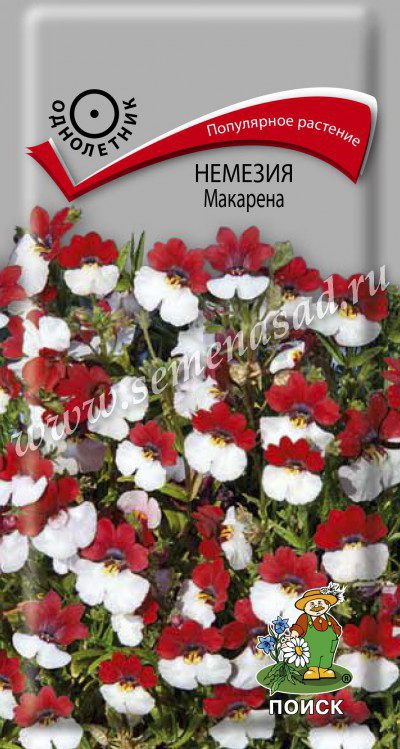 Немезия МАКАРЕНА 0,05гр. (Поиск)