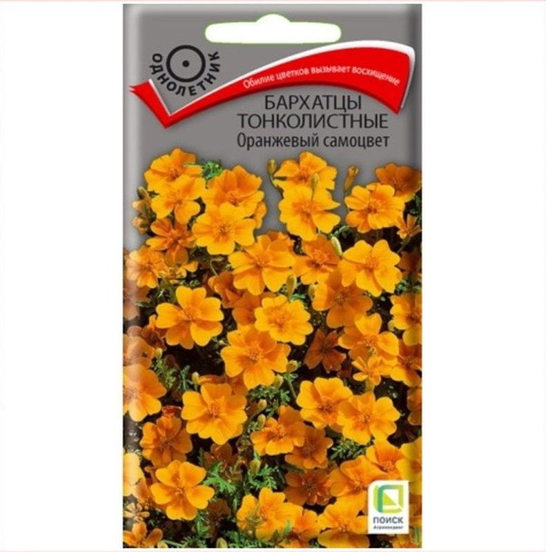 Бархатцы тонколистные ОРАНЖЕВЫЙ САМОЦВЕТ 0,1гр. (Поиск)