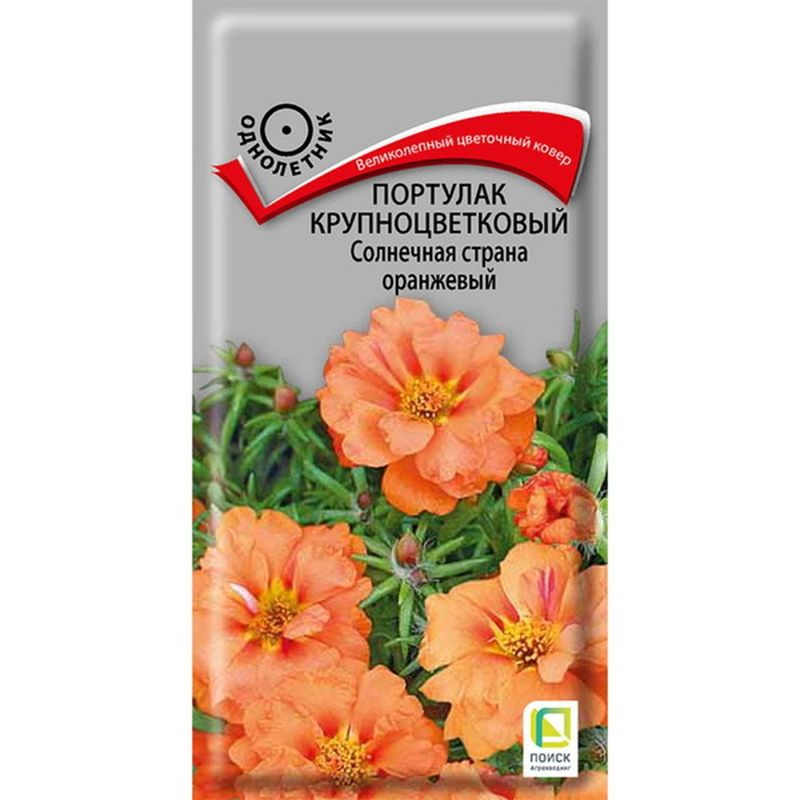 Портулак крупноцветковый СОЛНЕЧНАЯ СТРАНА оранжевый 0,1гр. (Поиск)