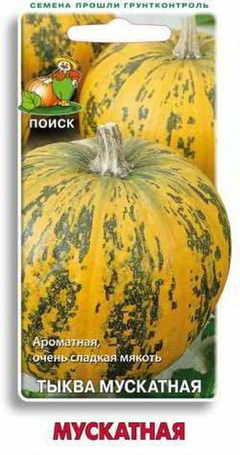 Тыква МУСКАТНАЯ 10шт. (Поиск)