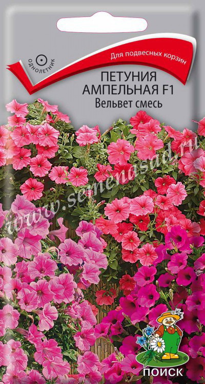 Петуния ампельная F1 ВЕЛЬВЕТ смесь  5шт. (Поиск)