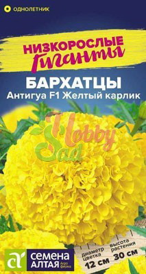 Бархатцы АНТИГУА F1ЖЕЛТЫЙ КАРЛИК 5шт. (Семена Алтая)