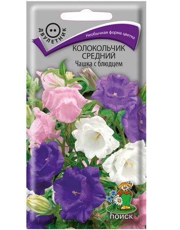 Колокольчик средний ЧАШКА С БЛЮДЦЕМ 0,2гр. (двулетник) (Поиск)