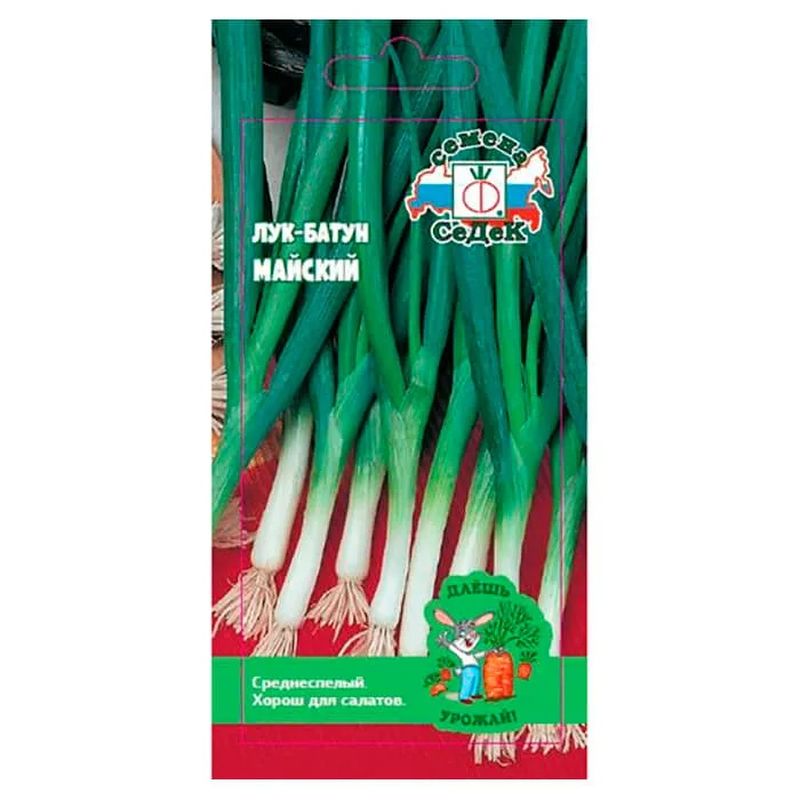 Лук батун МАЙСКИЙ 1,0гр. (СеДек)