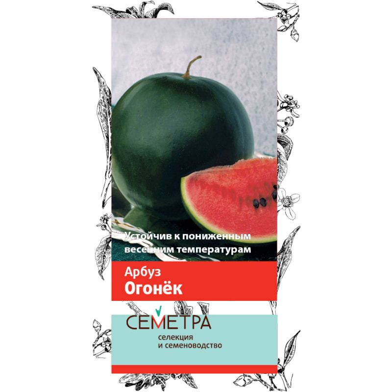Арбуз ОГОНЕК 1,0гр. (Семетра) (Поиск)