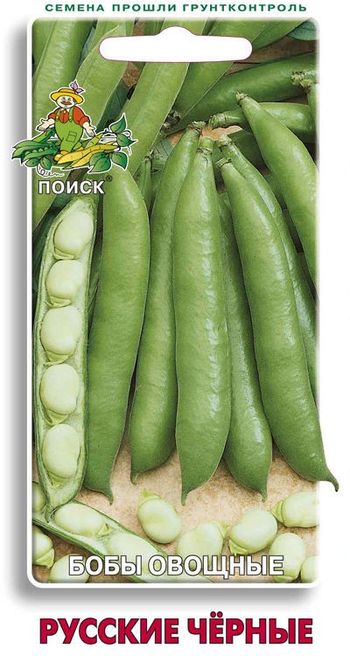 Бобы РУССКИЕ черные 10шт. (Поиск)