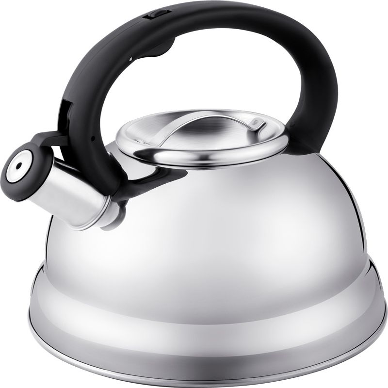 Чайник нерж. 86-101 3,0л. со свист. TEA