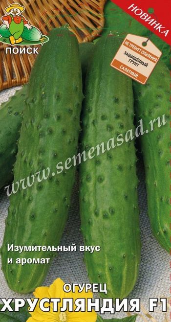 Огурец ХРУСТЛЯНДИЯ F1 12шт. (Поиск)