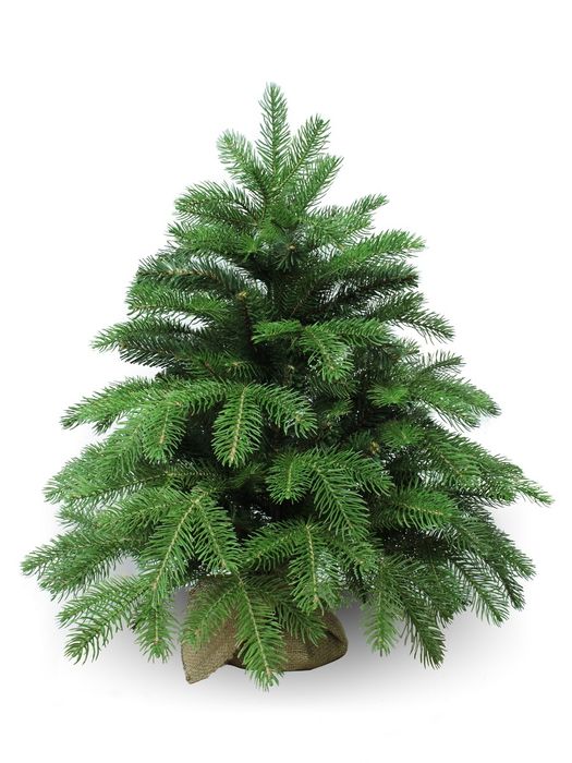 Ель "ANSON" 0,6м. 1031906 .