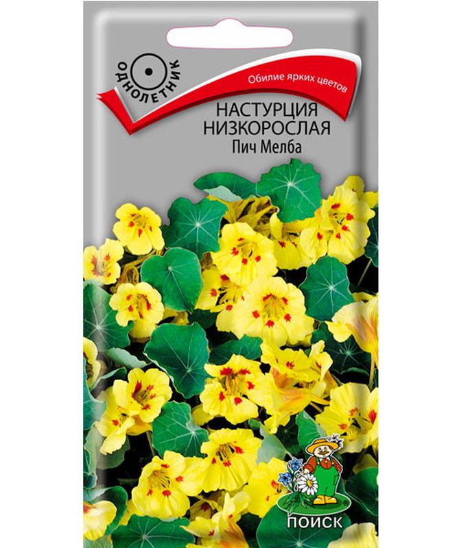 Настурция низкорослая ПИЧ МЕЛБА  1 гр (Поиск)