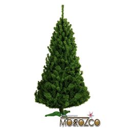 Ель "Московская" 1,8м. 0318
