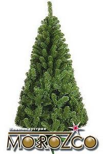 Ель "Сибирская" 1,0м. 0110