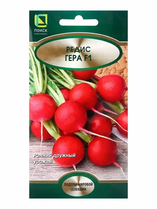 Редис ГЕРА F1 2г. (Поиск)