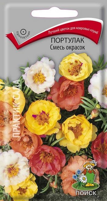 Портулак СМЕСЬ ОКРАСОК 0,1гр. (Поиск)