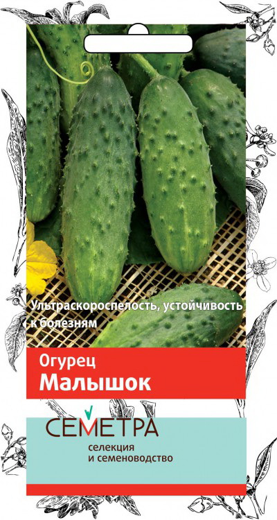 Огурец МАЛЫШОК 0,5гр. (Семетра) (Поиск)