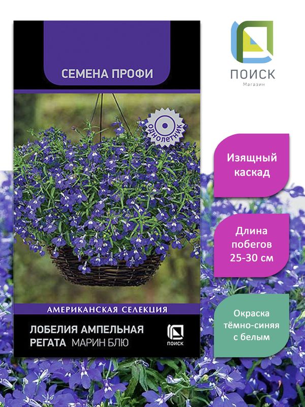 Лобелия ампельная РЕГАТА МИДНАЙТ БЛЮ  10шт. (Поиск)