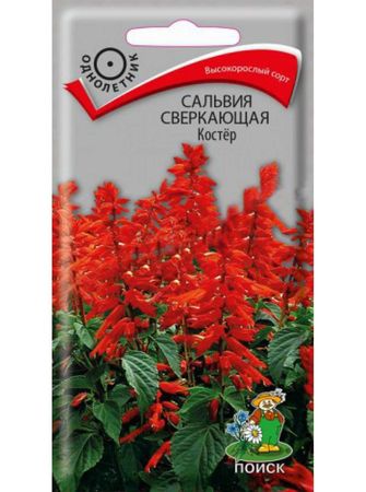 Сальвия сверкающая КОСТЕР 0,1гр. (Поиск)