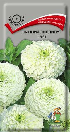 Цинния лиллипут БЕЛАЯ 0,4гр. (Поиск)