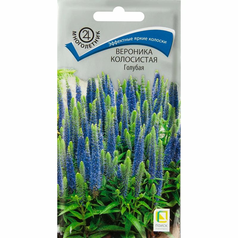 Вероника колосистая ГОЛУБАЯ 0,1гр. многолетник (Поиск)