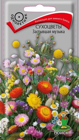 Сухоцветы ЗАСТЫВШАЯ МУЗЫКА (однолетник) 0,3 гр (Поиск)