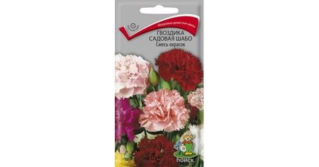 Гвоздика садовая ШАБО Смесь окрасок 0,3гр. (Поиск) (Поиск)