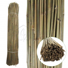 Колышки бамбуковые 120см. d10/12мм.
