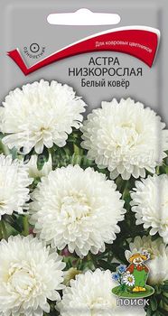 Астра Низкорослая БЕЛЫЙ КОВЕР 0,2гр. (Поиск)