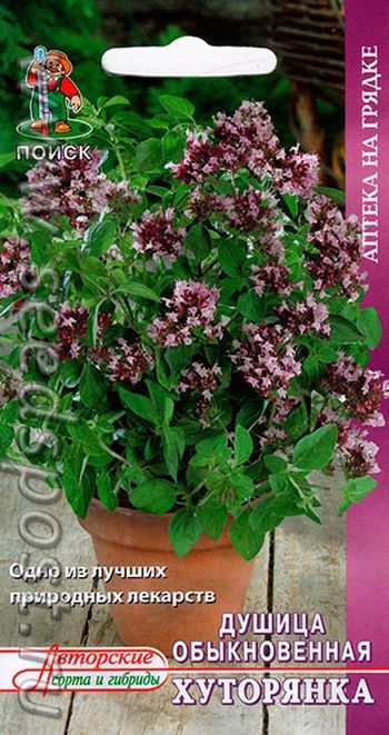 Душица обыкновенная ХУТОРЯНКА 0,01г (Поиск)