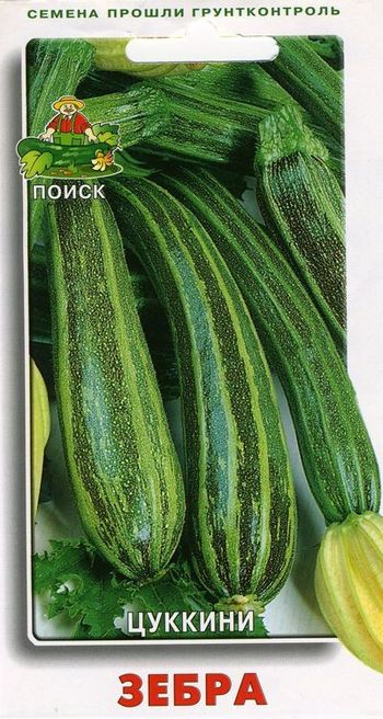 Кабачок ЗЕБРА 12шт. (Поиск)