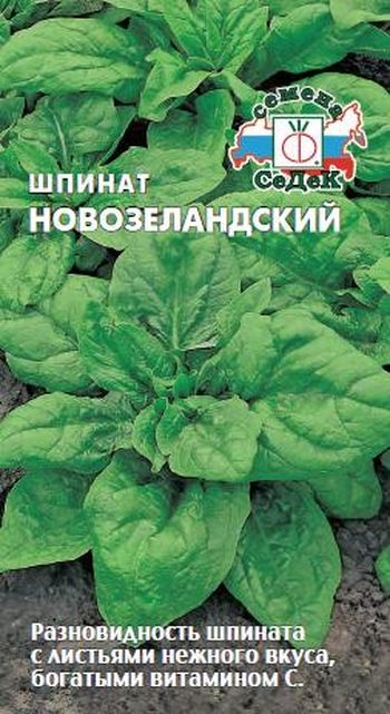 Шпинат НОВОЗЕЛАНДСКИЙ 1,0гр. (СеДек)